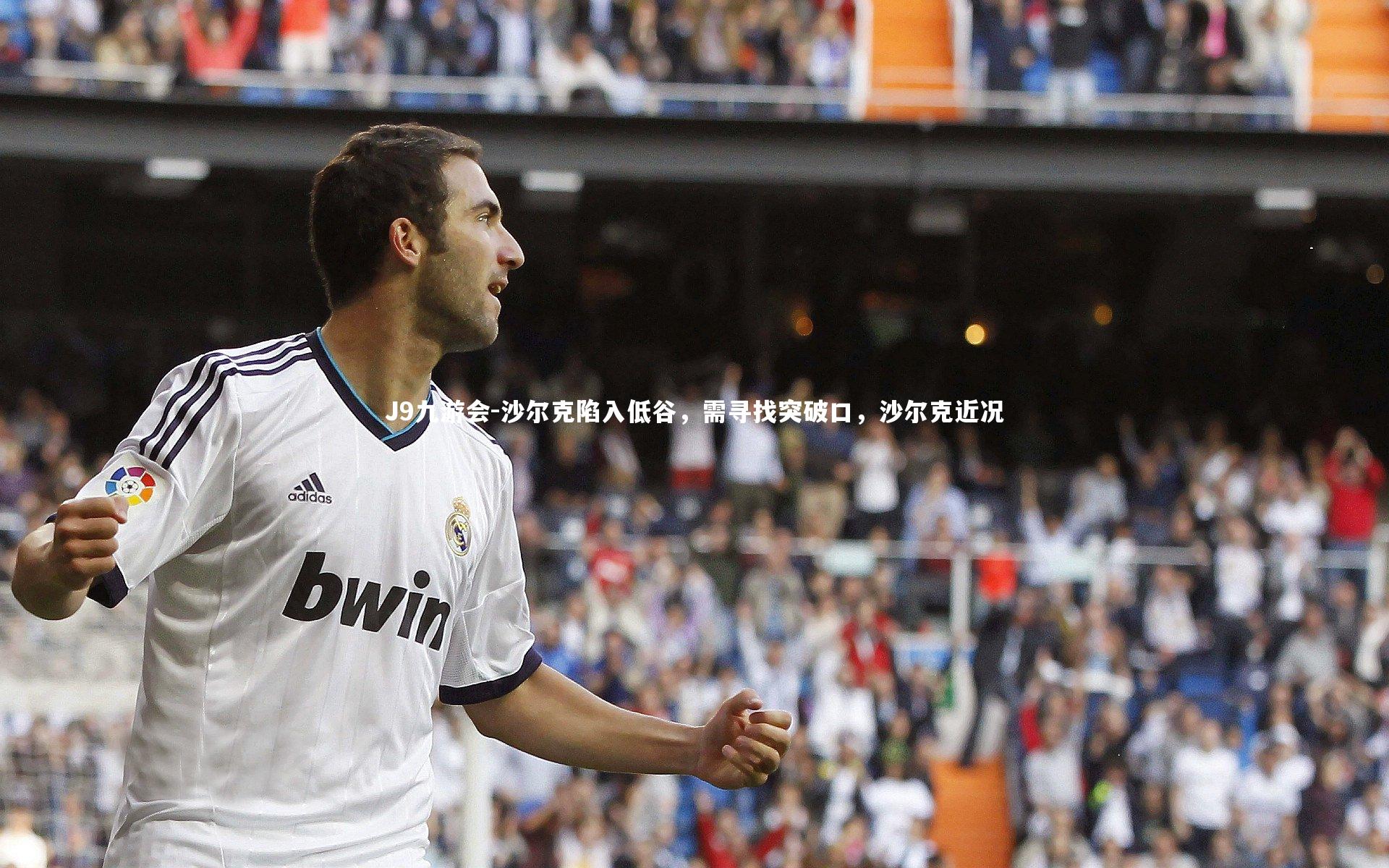 沙尔克陷入低谷，需寻找突破口，沙尔克近况